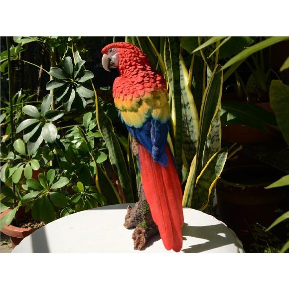 今月限定 特別大特価 Macaw コンゴウインコ 自然の造形が美しい鳥の置物 スタンドオブジェ インコ オウムの置物 Columbiatools Com