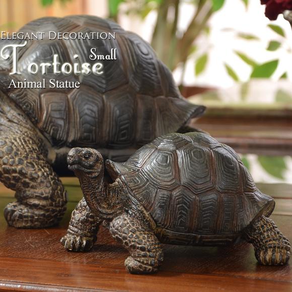 Tortoise リクガメ Small 自然の造形が美しい鳥の置物 スタンド