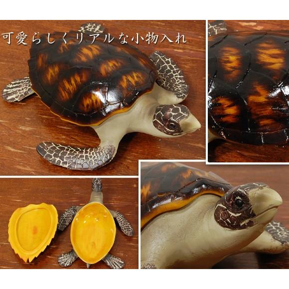 Sea turtle ウミガメの小物入れ 置物 ボックス 飾り アンティーク風
