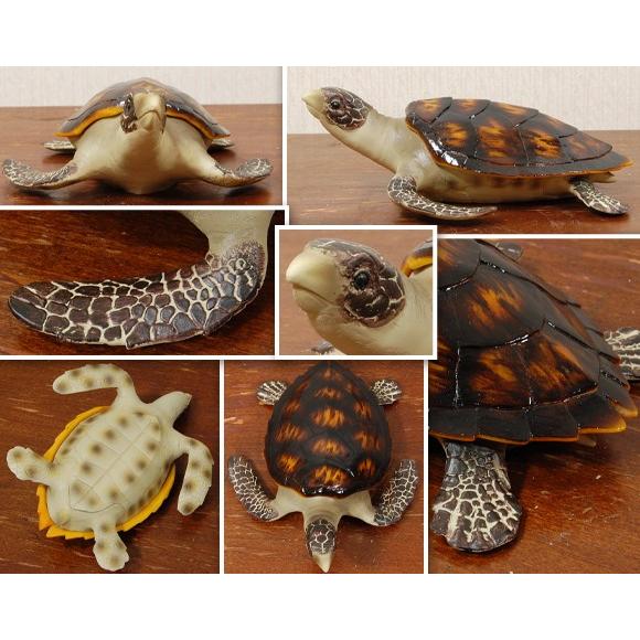 Sea turtle ウミガメの小物入れ 置物 ボックス 飾り アンティーク風