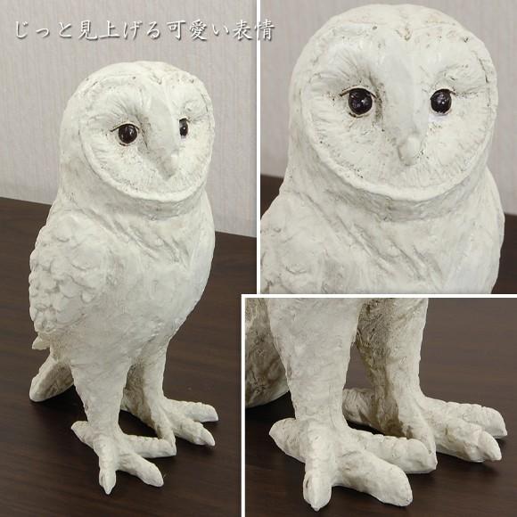 Albas Barn Owl アルバス バーンオウル 白いメンフクロウの置物 オブジェ アンティーク風飾り ふくろうの置物 Sre01 104 Decor Plus Yahoo 店 通販 Yahoo ショッピング