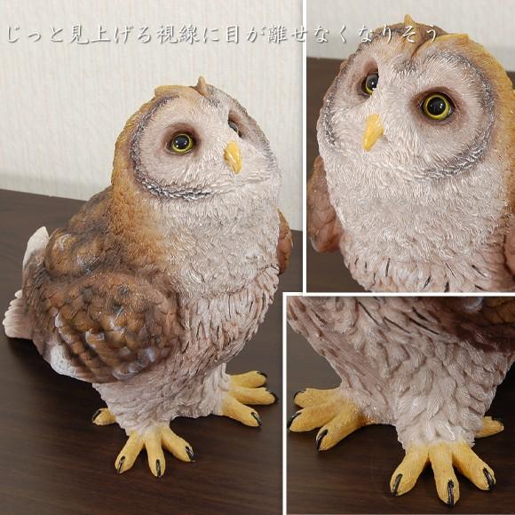 ステアーオウル じっと見上げる可愛い表情のフクロウ オブジェ 飾り