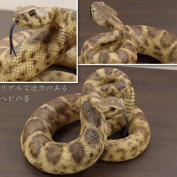 Rattlesnake 舌を出すリアルなガラガラヘビの置物 動物 へびのオブジェ 飾り物 Sre0245 509 Decor Plus Yahoo 店 通販 Yahoo ショッピング