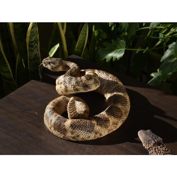 Rattlesnake 舌を出すリアルなガラガラヘビの置物 動物 へびのオブジェ 飾り物 Sre0245 509 Decor Plus Yahoo 店 通販 Yahoo ショッピング