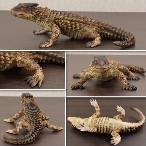 Armadillo Lizard 鎧のような鱗 アルマジロリザードの置物 動物 Armadillo Lizard 鎧のような鱗 アルマジロリザードの置物 動物