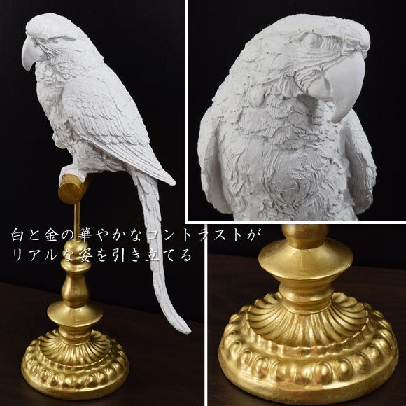 ホワイトパロット 白いオウムの置物 鳥 動物 リアルなバードの置物 アンティーク 雑貨 おしゃれ Sre0260 901 Decor Plus Yahoo 店 通販 Yahoo ショッピング
