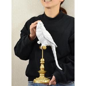 ホワイトパロット 白いオウムの置物 鳥 動物 リアルなバードの置物 アンティーク 雑貨 おしゃれ Sre0260 901 Decor Plus Yahoo 店 通販 Yahoo ショッピング