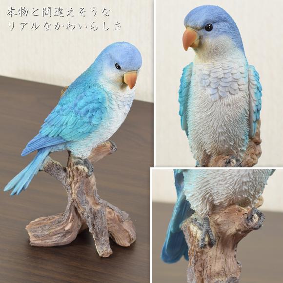 オキナインコ 造形が美しい鳥の置物 オウム 飾り 鳥 バード リアル