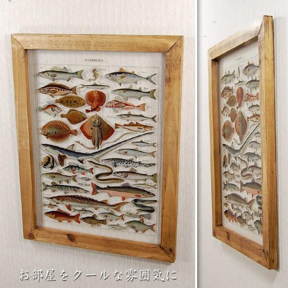 Poisson ポワソン 魚図鑑のようなガラスプレート 壁掛け 壁飾り ウォールフレーム ウォールアート 魚の絵 Zr0138 002 Decor Plus Yahoo 店 通販 Yahoo ショッピング