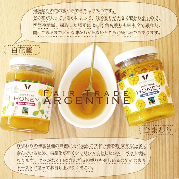 蜂蜜 はちみつ ハチミツ （アルゼンチン産はちみつ 百花蜜