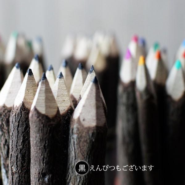 タイ直輸入 文房具 民芸 （ 小枝の色えんぴつ ） 10本セット