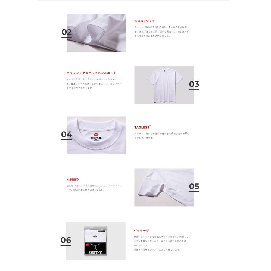 Hanes BEEFY ヘインズ ビーフィー パックTシャツ 2枚組 メンズ レディース ヘビーウェイト 厚手 6.1オンス クルーネック 丸首 無地 白 黒 灰 紺 | BEEFY-T | 07