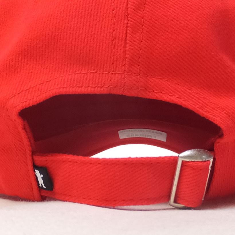 グリズリーグリップテープ Grizzly Griptape コラボ キャップ メンズ レディース PLAN B プランB WORLD WIDE DAD HAT | GRIZZLY | 05