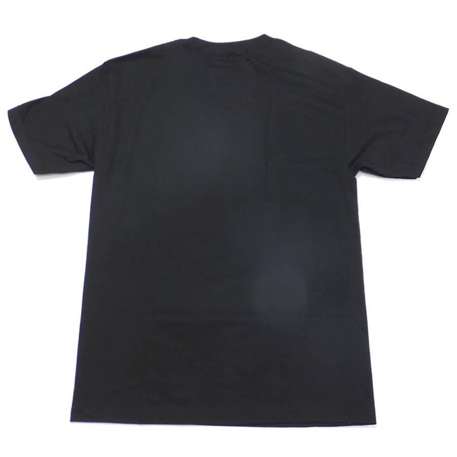 ディージーケー DGK Tシャツ メンズ COUNTY FAIR TEE | DGK | 04