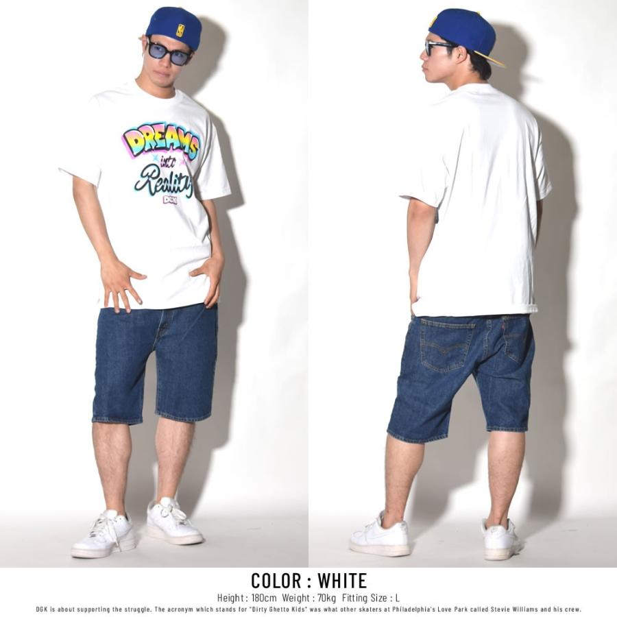 ディージーケー DGK Tシャツ メンズ DREAMS TEE DT-4166 | DGK | 03