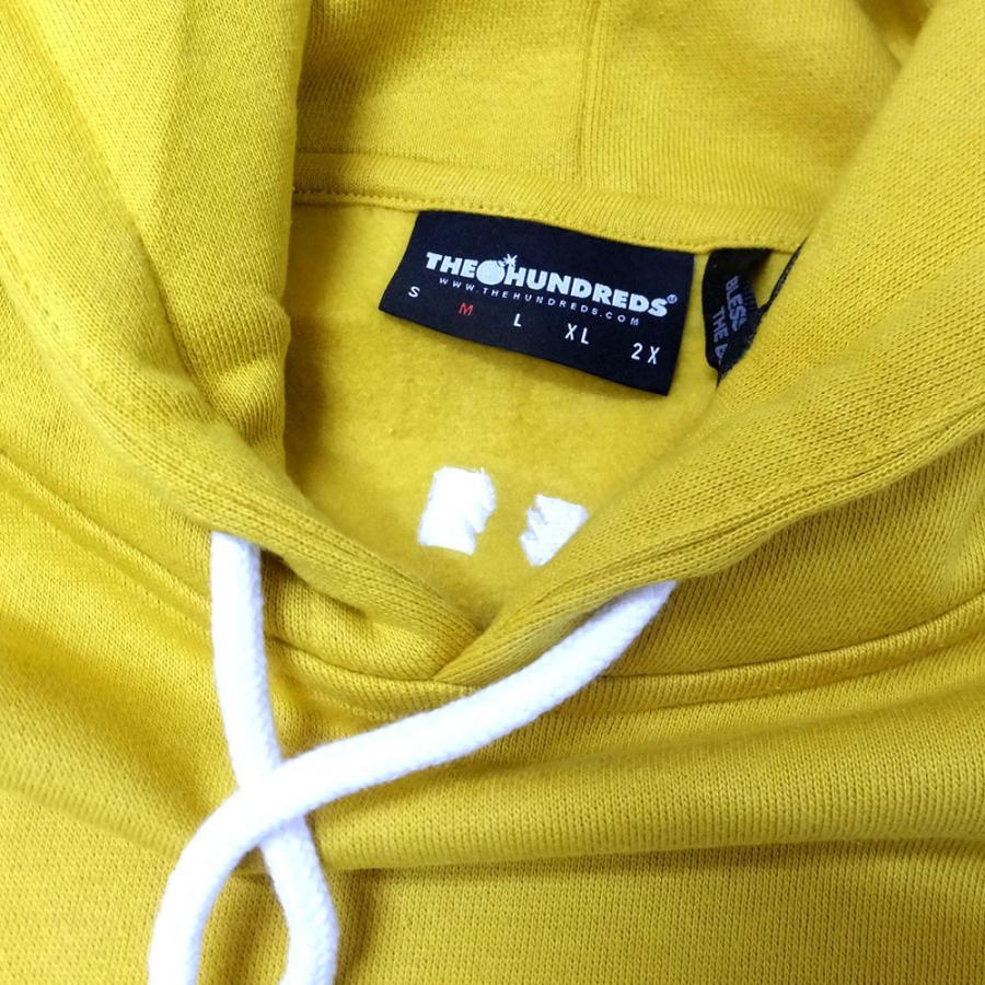 ハンドレッツ THE HUNDREDS スウェットプルオーバーパーカー メンズ 裏起毛 PALMER PULLOVER | The Hundreds | 10