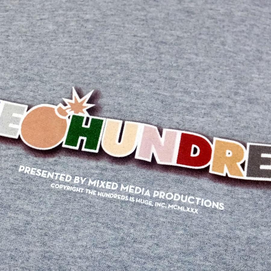 ハンドレッツ×チャンピオン THE HUNDREDS×Champion コラボ プルオーバーパーカー メンズ 長袖 スウェット 裏起毛 TOON BAR PULLOVER T19P202042 | The Hundreds | 10