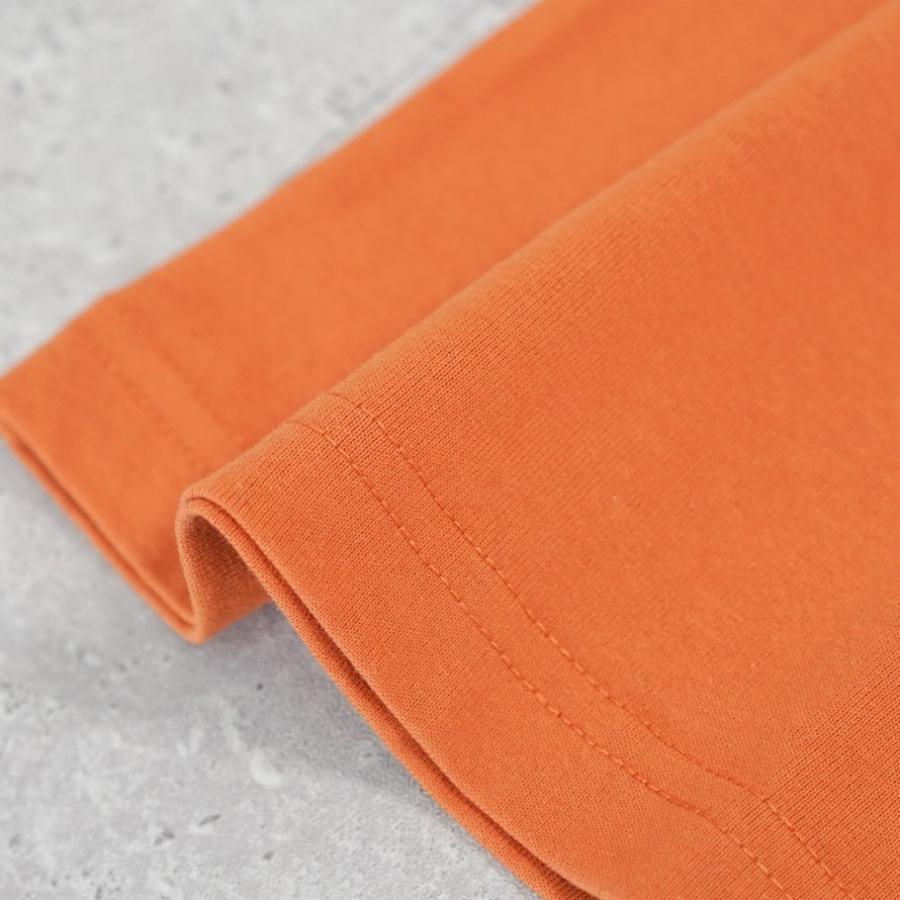 BEN DAVIS ベンデイビス Tシャツ メンズ 半袖 SCRIPT PATCH TEE ダークオレンジ | BEN DAVIS | 10