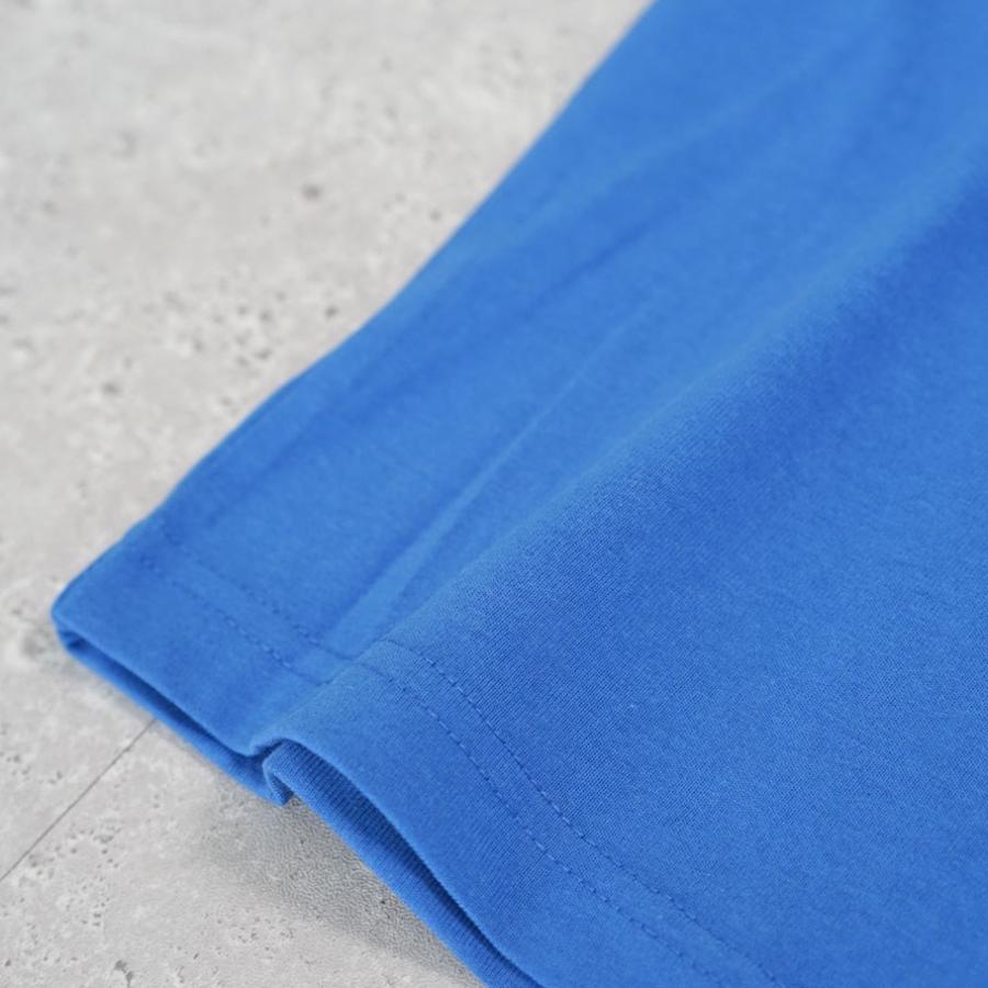 BEN DAVIS ベンデイビス Tシャツ メンズ 半袖 SCRIPT PATCH TEE ブルー | BEN DAVIS | 10