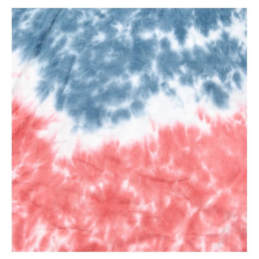 Champion チャンピオン Tシャツ メンズ タイダイ柄 おしゃれ ブランド アメカジ T3125 551873 USA企画 | Champion | 04