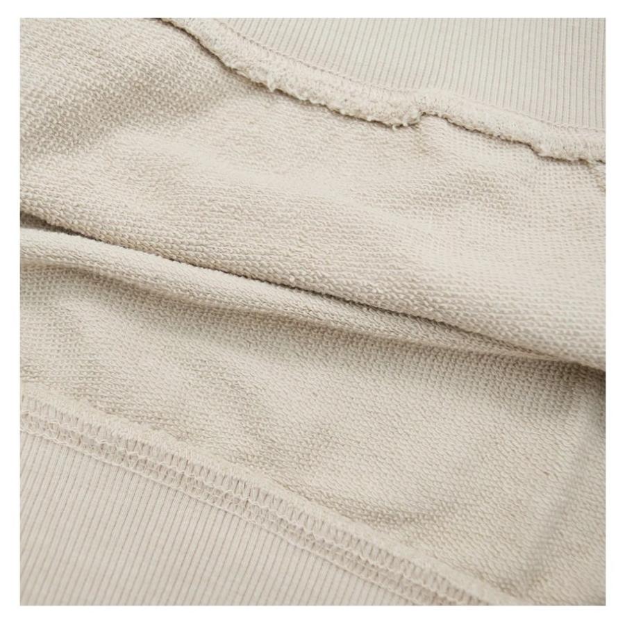 DC SHOES ディーシーシューズ パーカー スウェット プルオーバー 裏毛 メンズ GLOBAL PH ベージュ | DC SHOES | 10