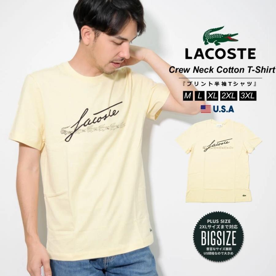 LACOSTE（ラコステ） Tシャツ メンズ 半袖 Men's Signature And