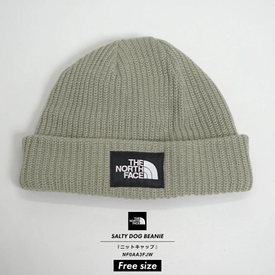 ザ・ノースフェイス THE NORTH FACE ニット帽 ニットキャップ SALTY DOG BEANIE ティーグリーン USA企画 | THE NORTH FACE