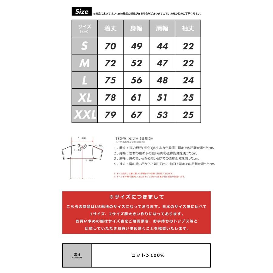THE NORTH FACE ザ・ノースフェイス Tシャツ 半袖 メンズ レディース バックプリント ボックスロゴ S/S BOX NSE TEE | THE NORTH FACE | 29