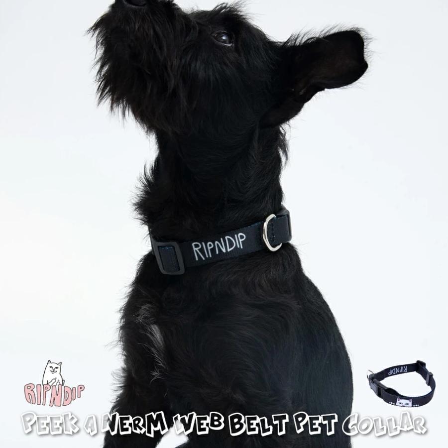 RIPNDIP リップンディップ 首輪 ペット 犬 猫 おしゃれ ストリート ブランド USAモデル Peek A Nerm Web Belt Pet Collar | RIPNDIP
