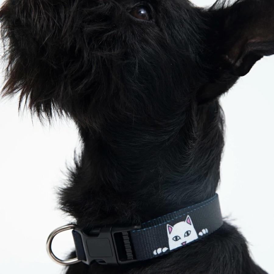 RIPNDIP リップンディップ 首輪 ペット 犬 猫 おしゃれ ストリート ブランド USAモデル Peek A Nerm Web Belt Pet Collar | RIPNDIP | 01