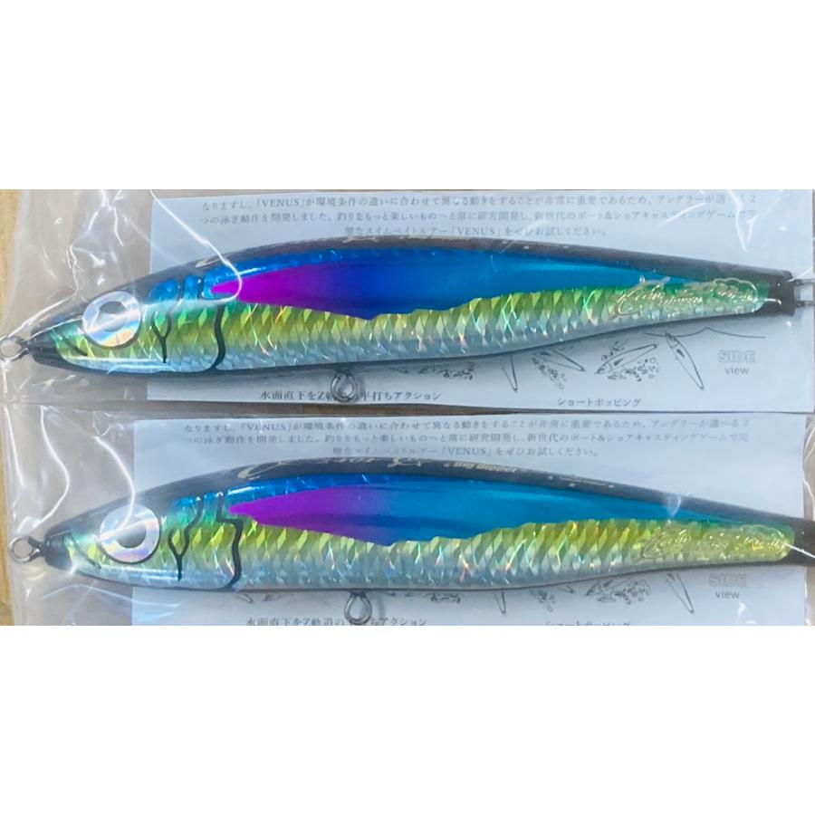 BIG DIPPER x SVX コラボ VENUS240F／ヴィーナス 240F フローティング