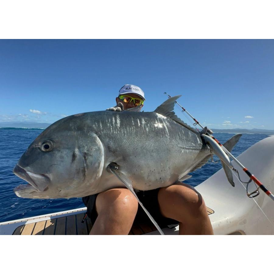 BIG DIPPER x SVX コラボ VENUS240F／ヴィーナス 240F フローティング