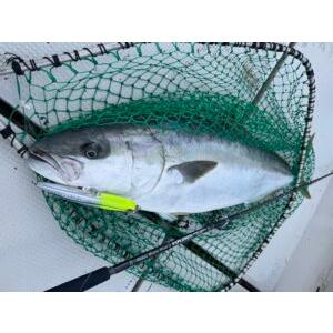 MCワークス MCワークスEXPLOSION855HF TRIDENT STDモデル