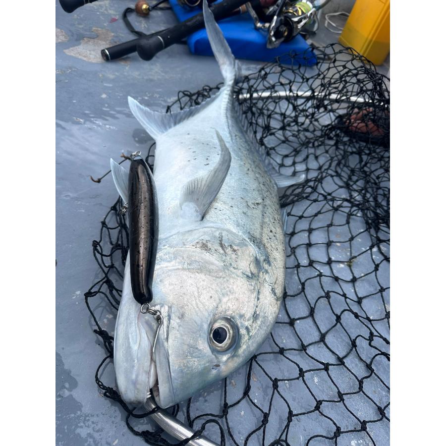 FLYING DRADON220F／フライングドラゴン220F 力丸水産xDEEP BLUE