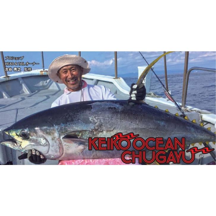 HOT'S ホッツ ケイコオーシャン 200 ”ガタロ” : DEEP BLUE OCEAN