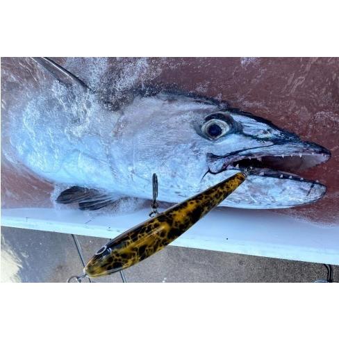 キヨラ 200F カレントダイバー ディープブルーオーシャン G513