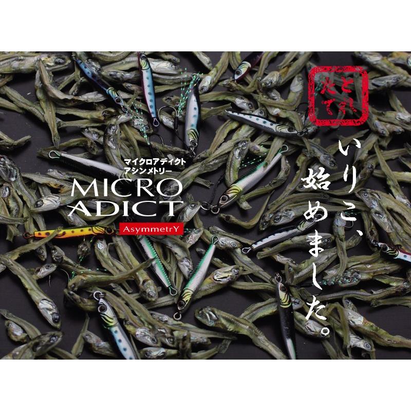 LITTLE JACK Micro Adict Asymmetry(マイクロ アディクト