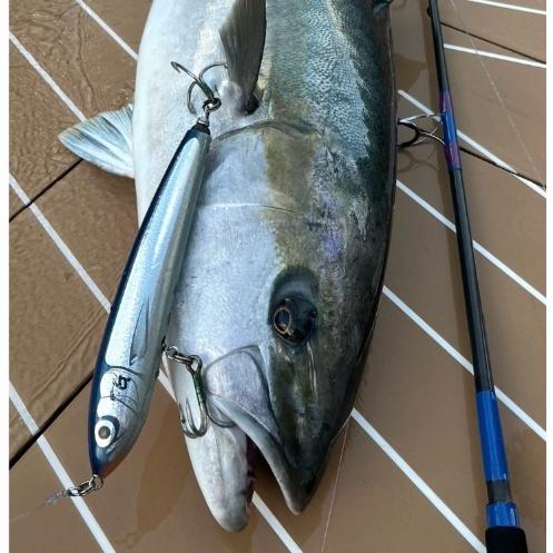 カーペンター SE（ストライク イーグル） 150（245mm） FGタイプ