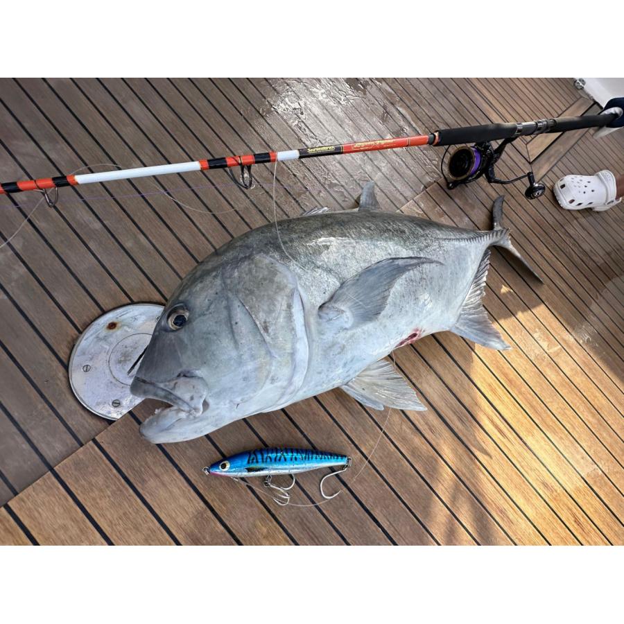 SVX VENUS215F／ヴィーナス 215F フローティングスイムベイト : DEEP