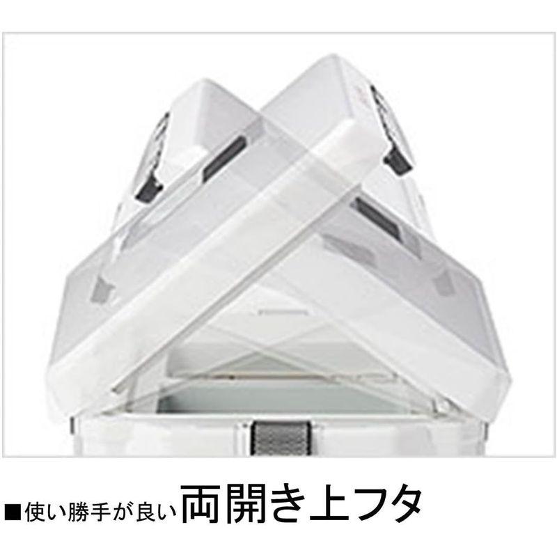 ダイワ(DAIWA) クーラーボックス クールラインα SURF S1000X 釣り 小型 10リットル 発泡スチロール ダイワ DAIWA クーラーボックス クールラインα SURF S1000X 釣り 小型 10リットル 発泡スチロール