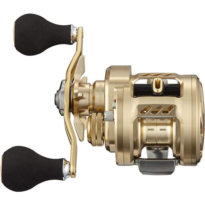 【希少】 ダイワ(DAIWA) 21 バサラ 100L 【5856021367】(20556円)