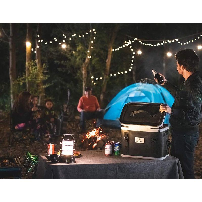 ROCKBROS(ロックブロス)クーラーボックス 小型 ソフトクーラーボックス 保冷力約48時間 18L 大容量 釣り キャンプ お弁当 B ROCKBROS ロックブロス クーラーボックス 小型 ソフトクーラーボックス 保冷力約48時間 18L 大容量 釣り キャンプ お弁当 L*W*H