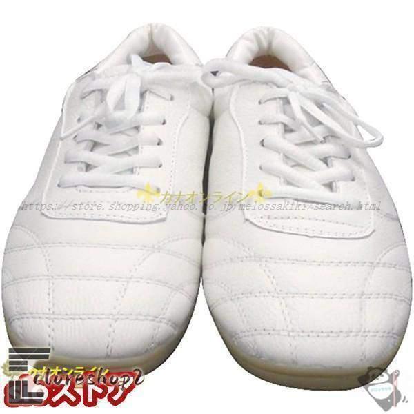 ウーシュー 太極拳シューズ 武術 靴 ソフトレザー 牛筋ソール カンフー テコンドー 気功 少林寺拳法 男女兼用 白 | ブランド登録なし | 02