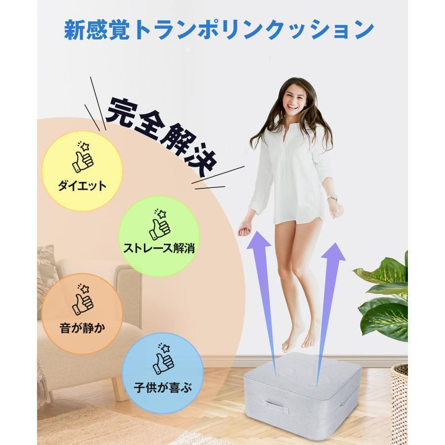 トランポリン クッション 室内 大人用 Homwarm 静音 エクササイズ 家庭用 省スペース 外カバー取り外し 洗濯可能 （40*40*15cm） | ブランド登録なし