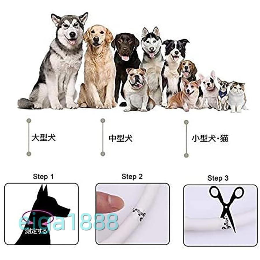 犬用 光る首輪 交換駆動 先可視 夜間安全性 防水 小型 / 中型 / 大型犬対応 虹色 | ブランド登録なし | 01