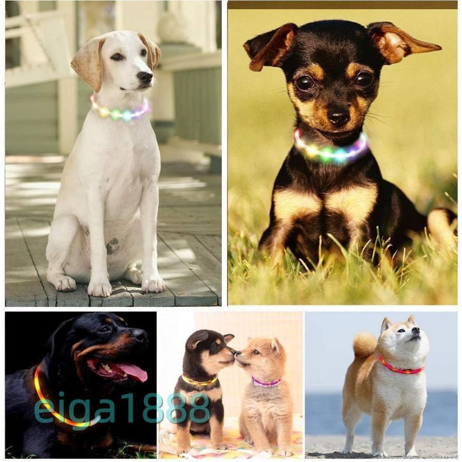 犬用 光る首輪 交換駆動 先可視 夜間安全性 防水 小型 / 中型 / 大型犬対応 虹色 | ブランド登録なし | 04