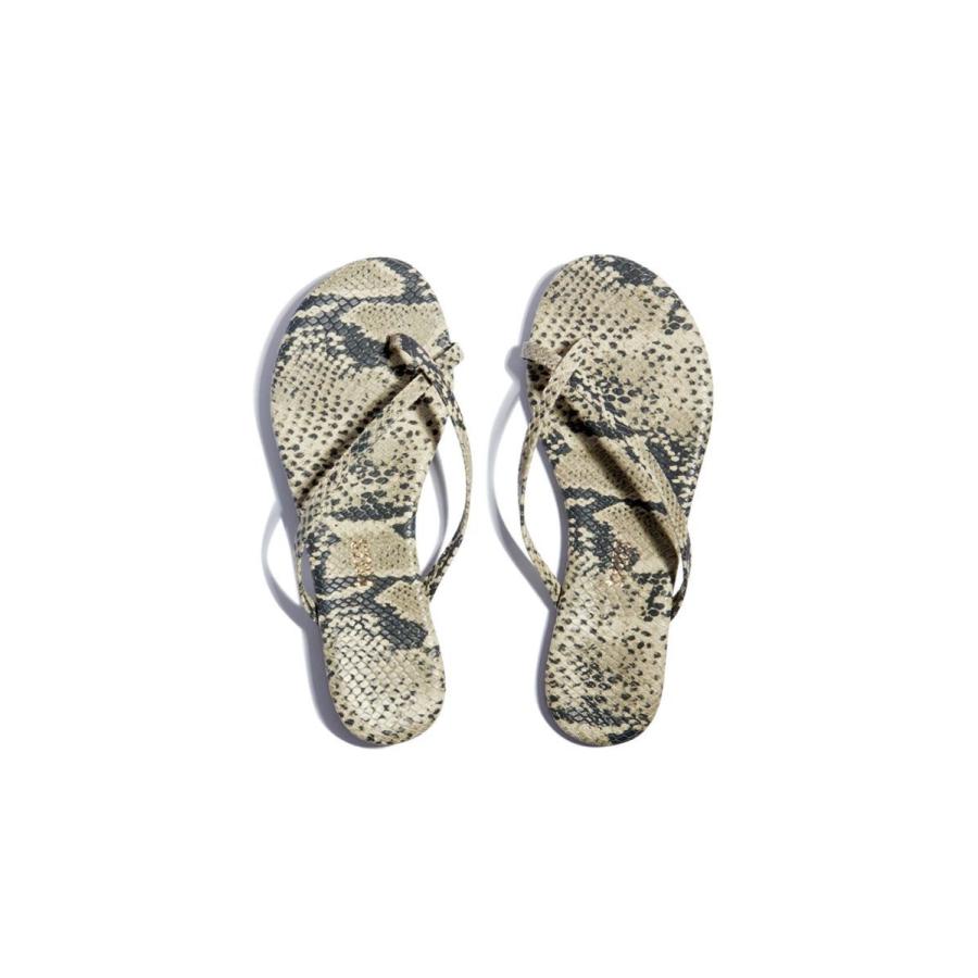 【P5倍 / SALE】RILEY  -SANDSNAKE TKEES(ティキーズ) |  | 05