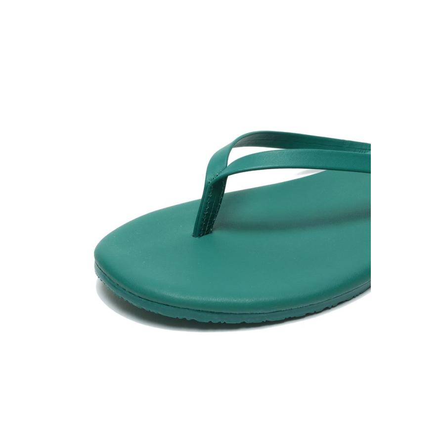【SALE】Solids -EMERALD TKEES(ティキーズ) |  | 05