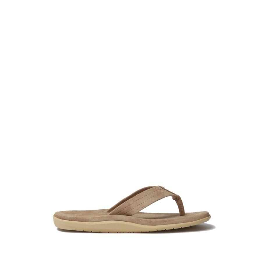 【P10倍】【SALE】SUEDE THONG - TAUPE Island Slipper - Men -(アイランドスリッパ) | ISLAND SLIPPER | 01