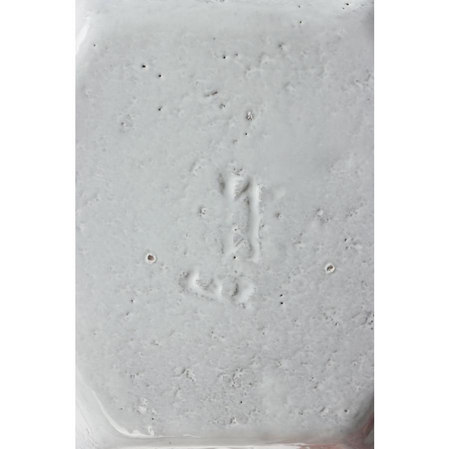 ASTIER de VILLATTE. 【P5倍】Etoile -Soup Plate / 24cm (ASCETL1